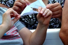 Butterfly Release 