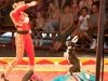 clcofair-circus-3