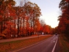 Roadway_Fall-U