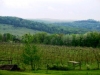 evergreen-valley-vineyards