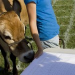 Vanish attempts to eat the paper that lists what ticket corresponds to what square as the winner is being figured out.