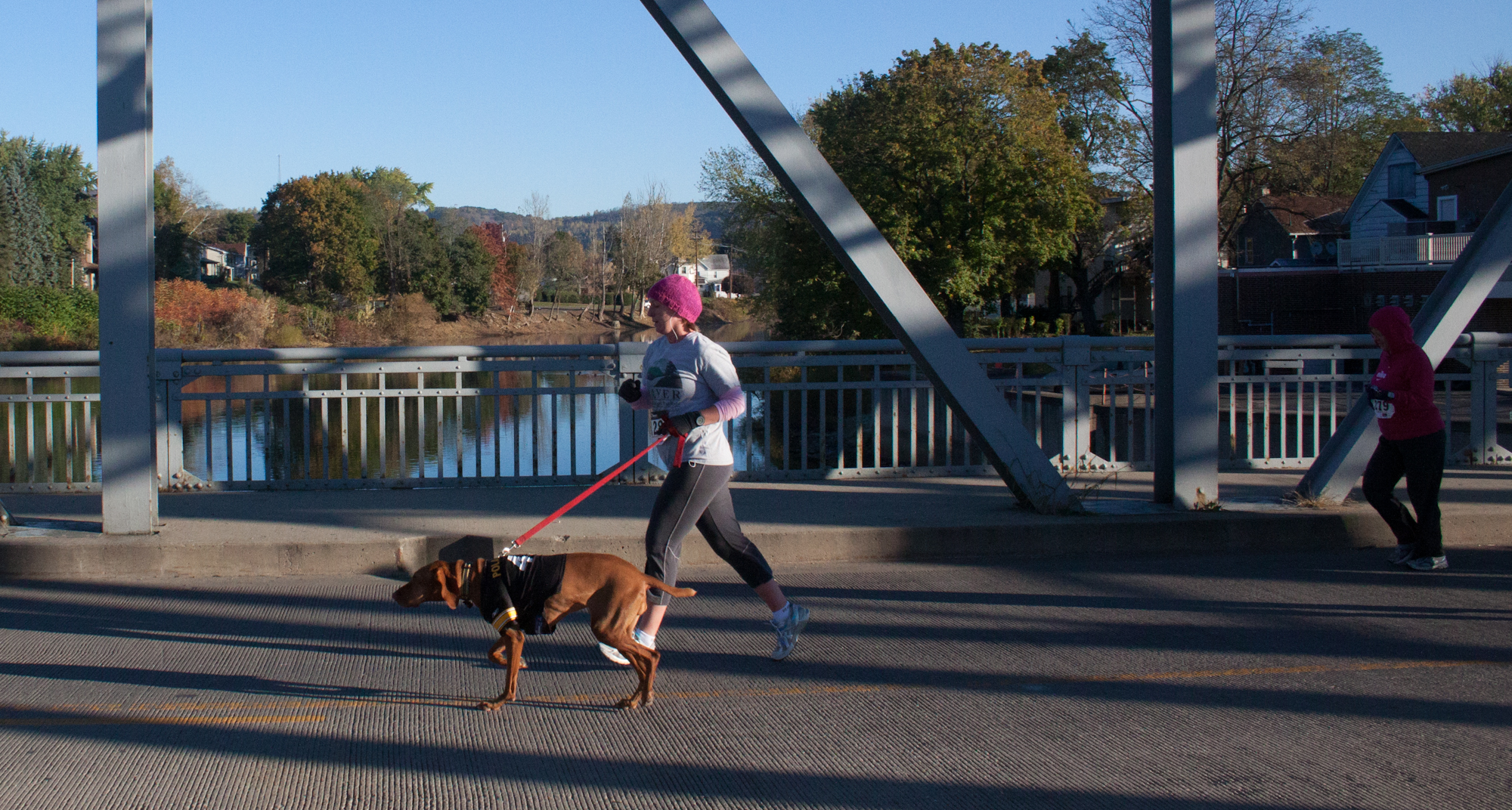 Dogs and strollers also joined in the run.