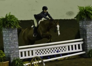 Katelyn Matthews and her horse, Mables Lad, were a winning duo at the 2013 District VIII 4-H Horse Show that recently took place at the Jefferson County Fairgrounds in Brookville on Aug. 10-11.  She’s headed to the 2013 Pennsylvania State 4-H Horse Show in a total of five classes. She’s the 18-year-old daughter of Robert & Deb Matthews of Glasgow. (Provided photo) 