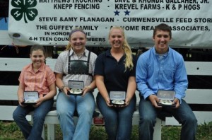 Pictured are Marissa Brothers of LaJose, Amanda Pennington of Westover, Chelsea Folmar of Luthersburg and Nicholas Kovalick of Woodland who are all smiles after being named the winners of the 2013 Clearfield County 4-H and FFA Master Showman Contest on Aug. 2.  Each winner received a championship belt buckle as their award. (Provided photo)