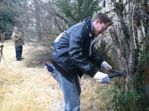 Senior Human Development and Family Studies student Evan Aravich trims trees at Sisters of Saint Joseph in Baden, as part of the MLK Day of Service. (Provided photo)