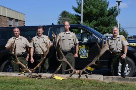 Left, to right, WCOs Dan Murray, Dave Stewart and Mark Gritzer, and Northcentral Region Law Enforcement Supervisor Rick Macklem pose with the antlers seized in the poaching investigation that has led to charges against three Centre County men. 
The 10- by 9-point rack at right initially was measured at 432 7/8 inches, based on standards set forth by the Boone & Crockett big-game scoring program. Only two bulls legally harvested in Pennsylvania have scored higher. The rack from the 5-by-7 bull is at left, and the sawed-off antlers from the 4-by-5 can be seen in front of it. 
(GANT News File photo)