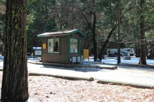 A tree limb fell on a tent in the heart of Yosemite National Park early Friday, August 14, 2015, killing two youths who were sleeping inside, the park said.