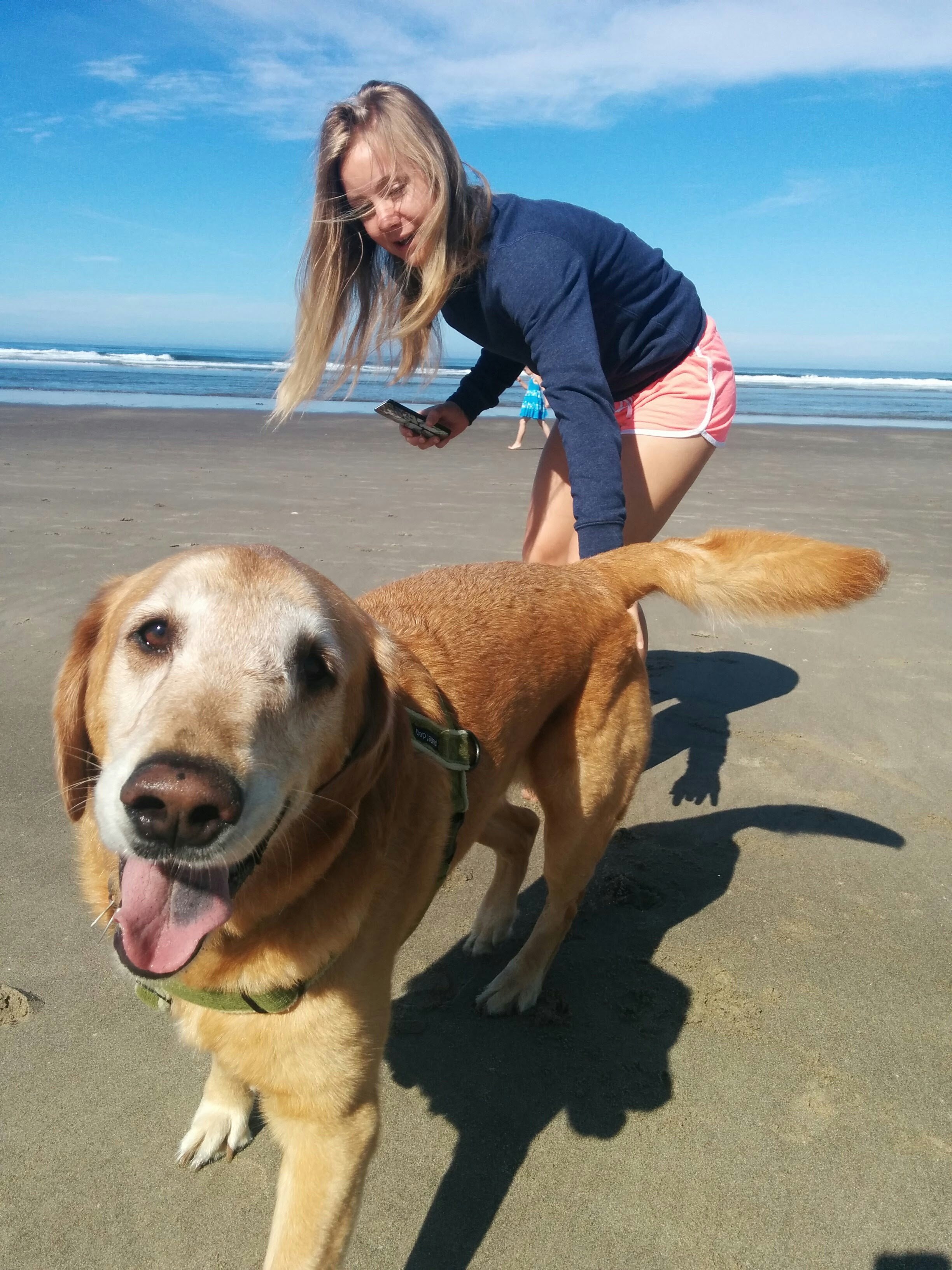 A dog named Dood, a 5-year-old Golden Retriever, was diagnosed with terminal bone cancer on his skull in July, 2015. Instead of leaving the dog at home, Cassidy Williams' father brought Dood to the Oregon Coast to join in Williams' wedding, and his first and last trip to the coast.
