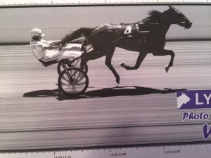 TYING A RECORD --- Simeon, with Dave Wade in the sulky, breezes toward a 2:02 mile that matched the Driving Park record for three-year-old trotters. The bay gelding won the Dunlap/Swales Memorial Division of the Pennsylvania Sire Stakes Colt Trot by 23¼ lengths. (Photo courtesy of Gretchen Linscott Photography) 