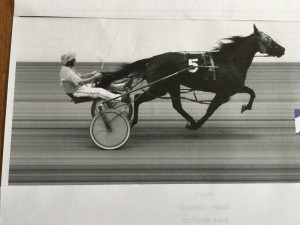 CHARLES "BUSTER" DiSALVO TROPHY winner ROGER HAMMER has R N Nate on his way to victory in the Bob Schucker Memorial Division of the Pennysylvania Sire Stakes Colt Pace. (Photo by Gretchen Linscott Photography) 