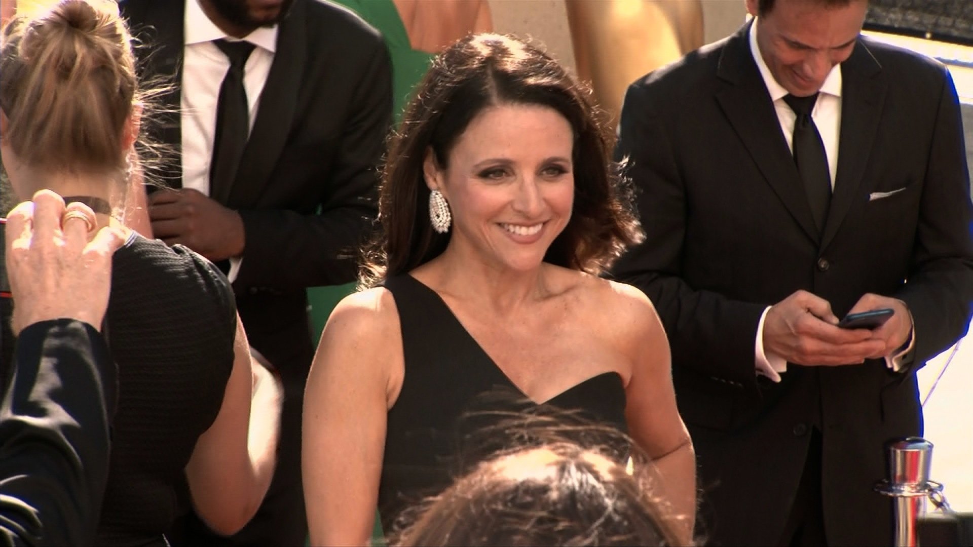 Julia Louis-Dreyfus on the red carpet of the 67th Emmy Awards in Los Angeles, September 20, 2015.