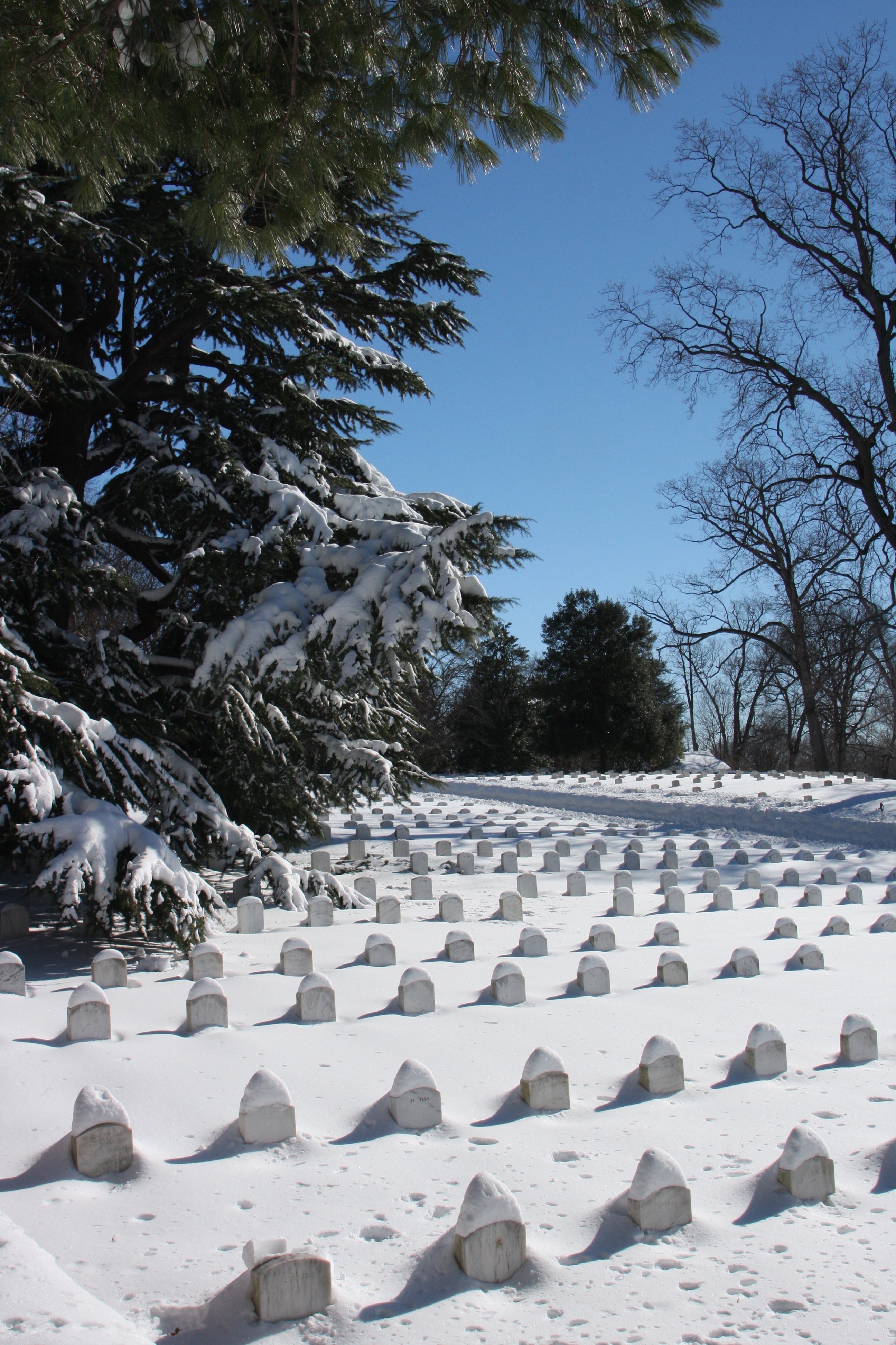 Cemetery and Arlington, Virginia