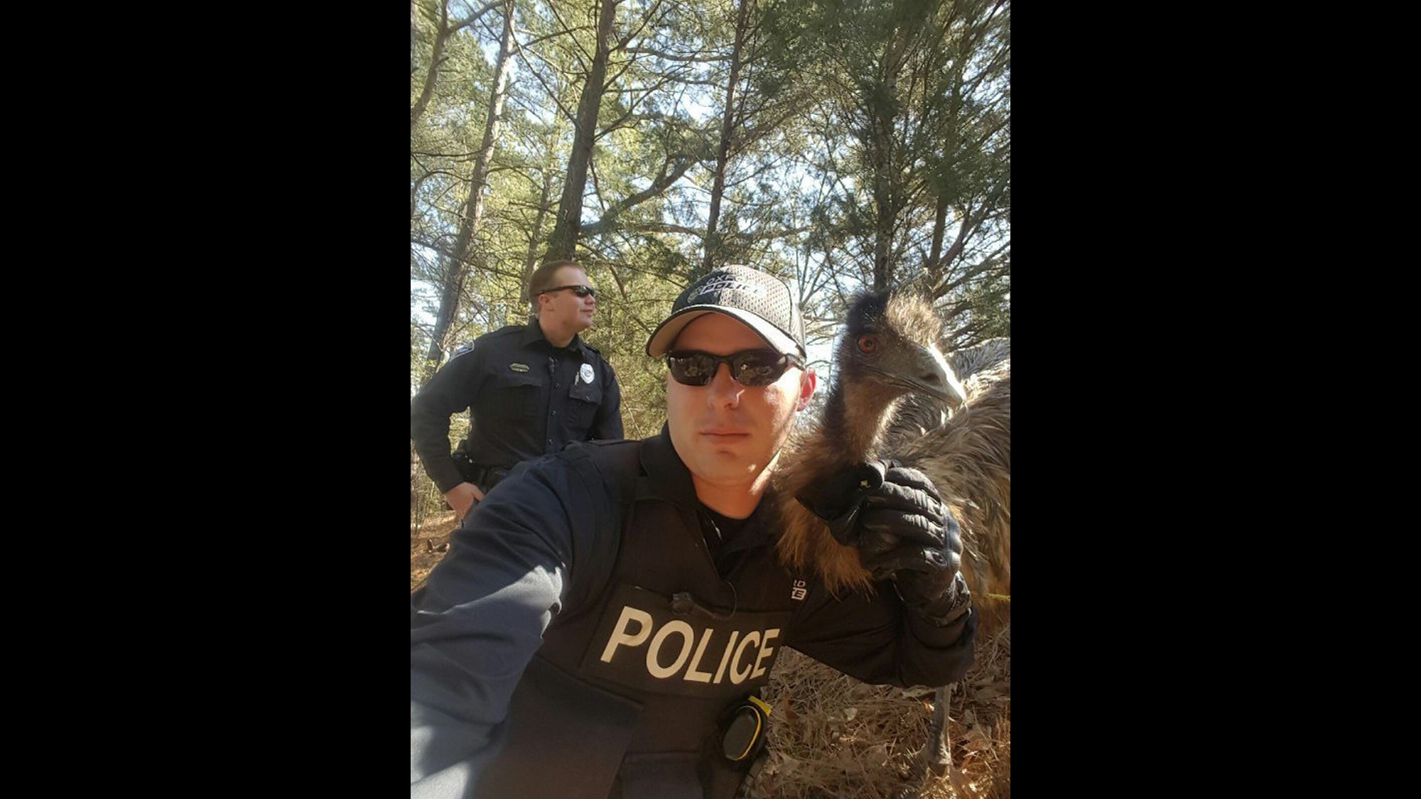 When Oxford, Mississippi, Police Officer Cody Pruitt showed up to work on Friday, the last thing he might have expected was a selfie -- with an emu.