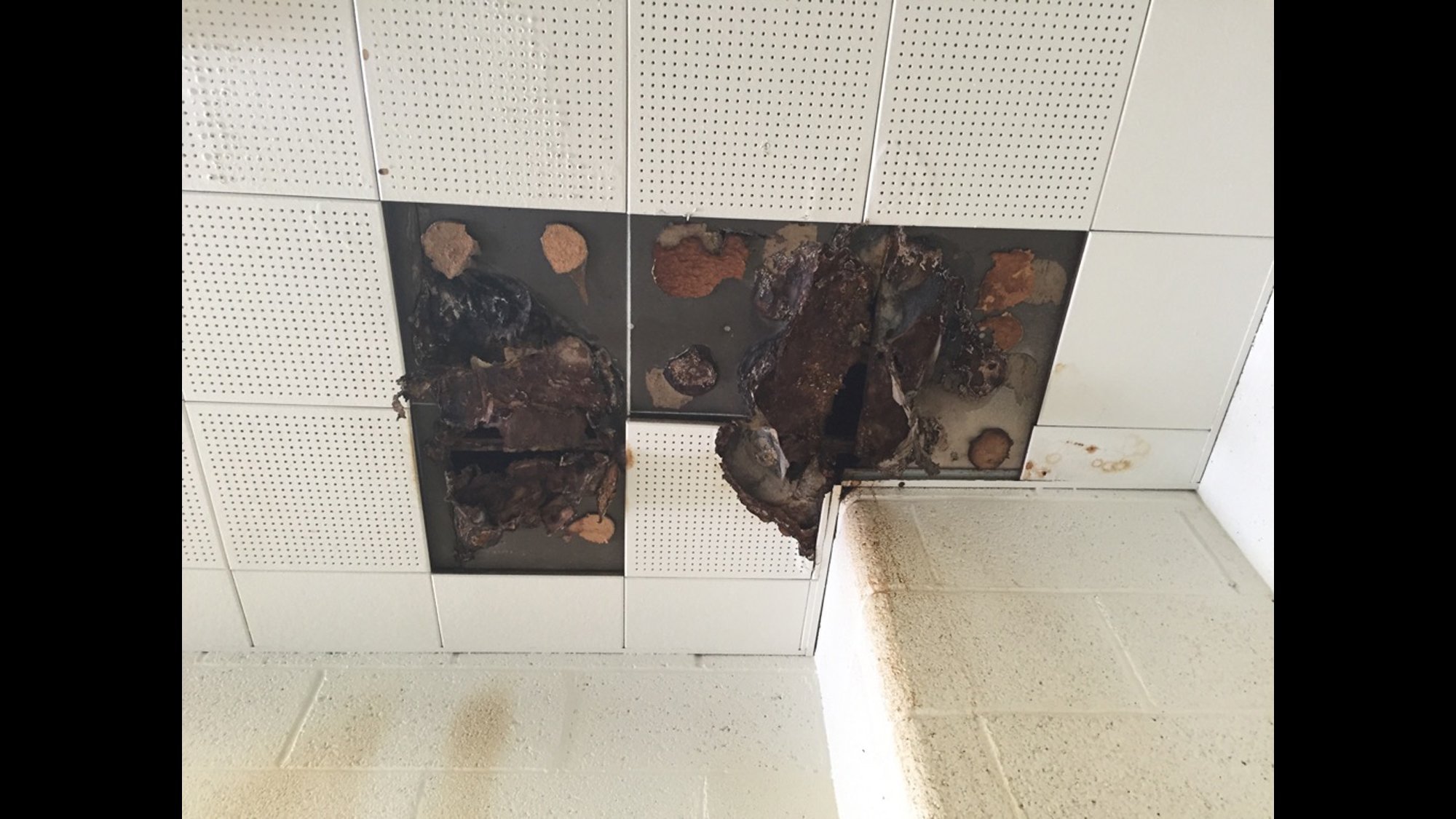 Photo taken at three Detroit schools show deterioration at school facilities. Teachers have protested the conditions by calling in sick in large groups.