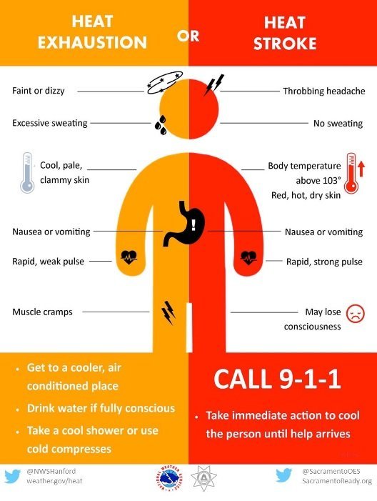 Graphic shows the indicating factors for heat exhaustion and heat wave.