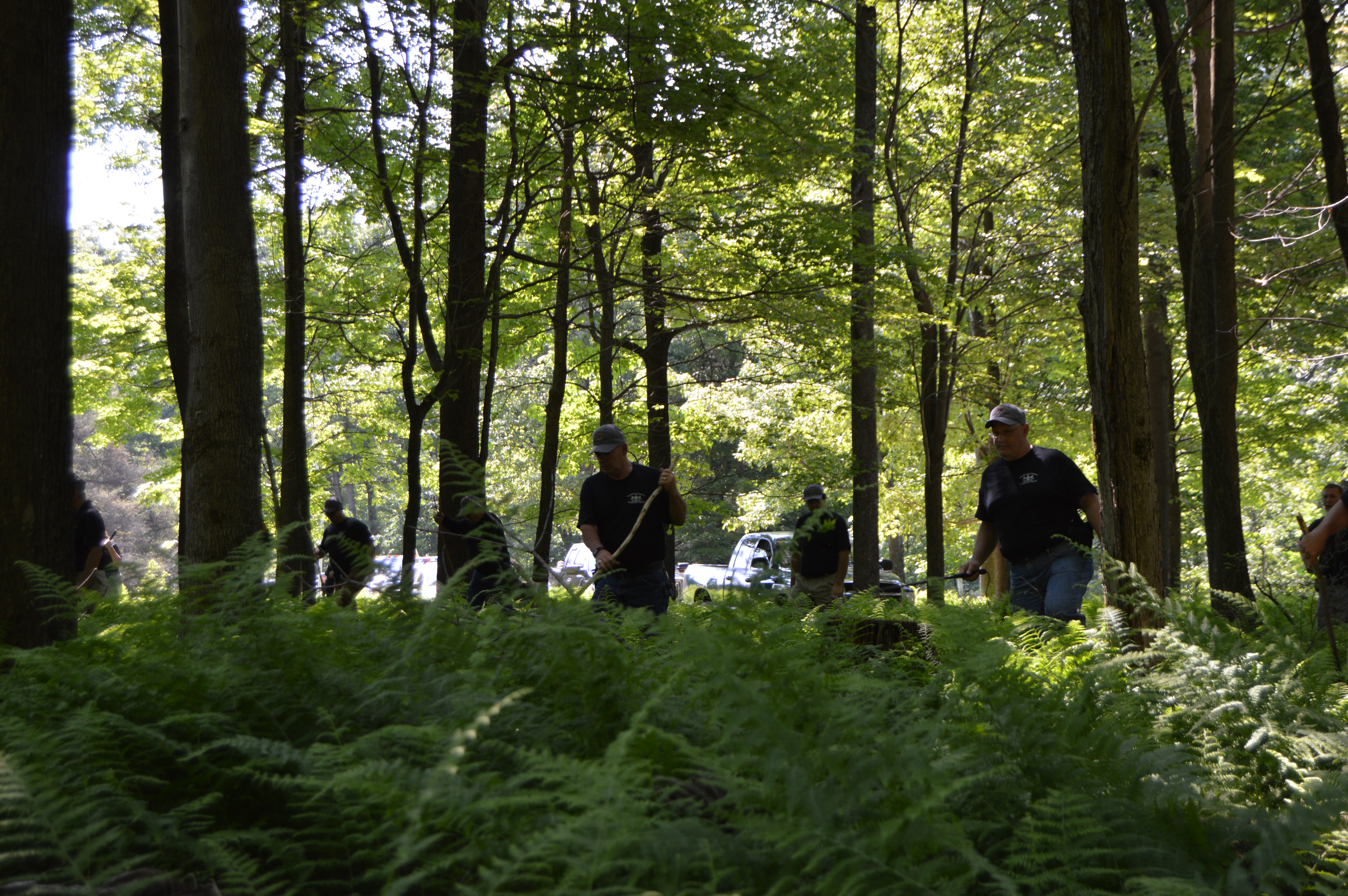 Members of the Clearfield County Sheriff's Posse comb the woods near the Greenwood Club during a mock training exercise. The Posse members were searching for a missing 7-year-old girl who had wandered away during a family outing. The girl was located within 30 minutes of the start of the search about three-tenths of a mile into the woods. (Photo by Kimberly Finnigan)