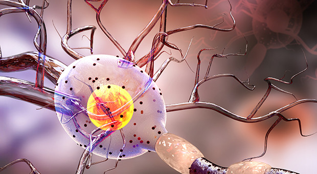 3d illustration of nerve cell, neurology concept.