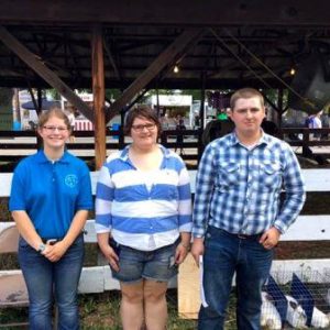 Pictured from left to right: second place winner, Lauren Turner of Philipsburg and member of the Thundering Hoofbeats 4-H Club, first place winner, Ronni Berlin of DuBois and member of the Open Range 4-H Club, and third place winner, Cory Leonard of Frenchville and member of the Clearfield FFA Chapter. (Provided photo)