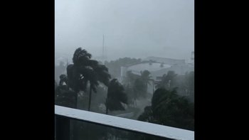 Heavy winds in Coconut Grove, Florida as Hurricane Matthew is due to hit the area.