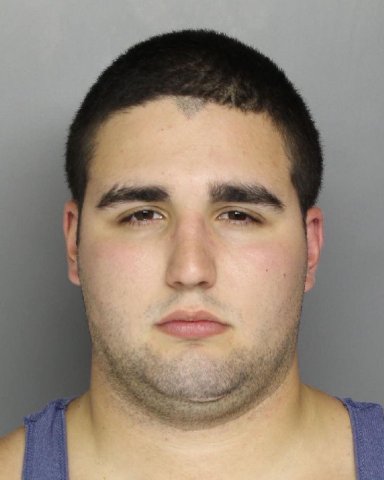 Cosmo Dinardo, 20, was arraigned via video before Magisterial District Judge Maggie Snow on one count each of theft by unlawful taking and receiving stolen property, both third-degree felonies.