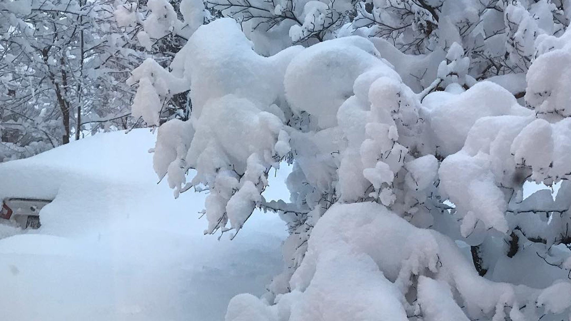 Erie, Pennsylvania, had a total of 34 inches of snow on Christmas Day, blanketing the city and shattering the city's previous records for snowfall in a single day.