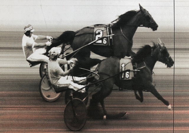 BY A NECK --- Broadway Voyage, with Steve Schoeffel in the bike, overtook Keystone Victoria, driven by Todd Schadel, a few strides before the finish line to win the Violet Lansberry Memorial Trot for three-year-old Pennsylvania Sire Stakes B Group fillies at the Driving Park Tuesday.