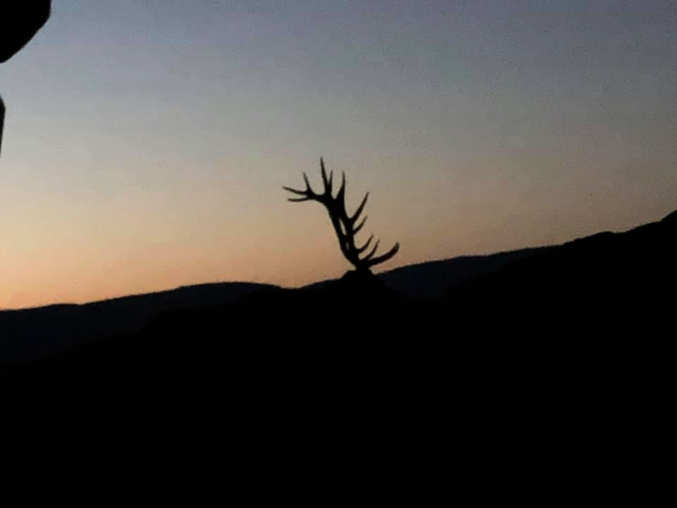 Elk Country Visitor Center Facebook photo
