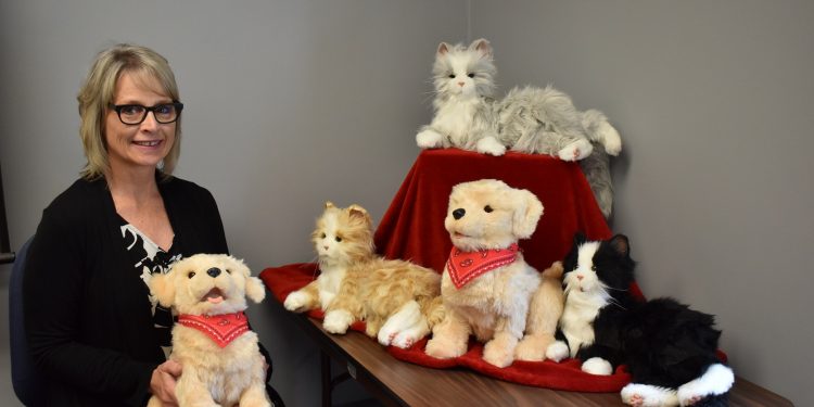 Kathleen Gillespie, CEO of CCAAA, with robotic pets available to provide companionship for older adults in need. (Provided photo)