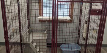 After a delay forced on them by the COVID-19 crisis, Clearfield Veterinary Hospital has opened their luxury boarding suites for dogs and their cat cottages for kitties. They also offer agility and puppy classes in addition to regular veterinary care. (Provided photo)