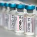 Covid-19 Coronavirus Vaccine vials in a row