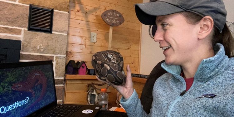 Assistant Teaching Professor of Wildlife Technology Emily Thomas with her pet python, Zeus, shared information on reptiles and amphibians with elementary school students during a virtual presentation. (Provided photo)