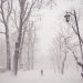 Photo of a man walking a street in winter