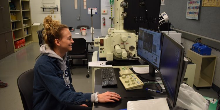 Penn State DuBois Engineering Student Nicolette Brossard examines properties of powder metal material under a scanning electronic microscope in the Penn State DuBois engineering labs. She has presented her research into innovation of powder metal parts used in the automotive industry at international conferences and industry seminars. (Provided photo)