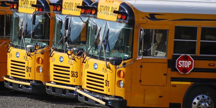 School buses are parked at a depot Thursday, April 9, 2020, in Zelienople, Pa. The Department of Education said Wednesday that public schools can begin in-person instruction again beginning July 1, 2020.

Keith Srakocic/AP Photo