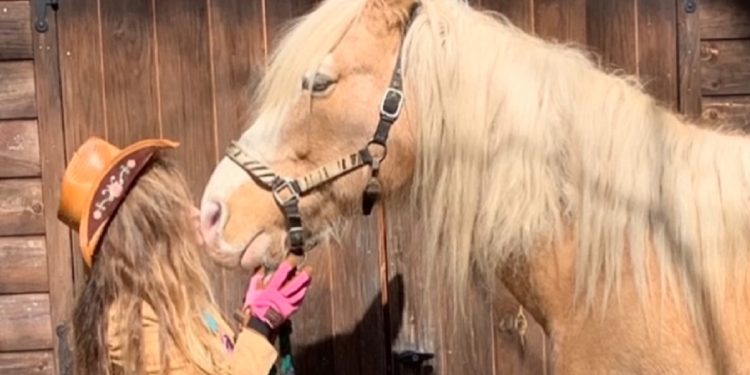 Forgotten Hearts Horse Sanctuary started by Lana Hubler-Thompson of Morrisdale rescues horses, donkeys, mules and ponies in addition to providing special programs for veterans. The organization is hosting a “Forgotten Hearts 2nd Wild West Festival” on Saturday, April 23 from 9 a.m. to 5 p.m. at the Morrisdale Rec Center. (Provided photo)