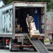 A food truck driver wheels a cart full of products for delivery to an establishment June 5, 2020, in Pittsburgh's Southside.

Keith Srakocic / AP photo