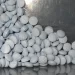 FILE - This photo provided by the U.S. Attorneys Office for Utah shows fentanyl-laced fake oxycodone pills collected during an investigation. Agents with the U.S. Drug Enforcement Administration say the synthetic opioid is bring trafficked over the southern border and distributed through the county, causing a spike in overdose deaths. 

HOGP?AP Images