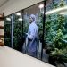 Photographs of marijuana plants are on the wall beside shelves of product displays during an open house Feb. 1, 2018, for the opening of CY+ Medical marijuana Dispensary in Butler, Pennsylvania.

Keith Srakocic / AP photo
Facebook
Twitter
Email
PrintCopy article link
Save