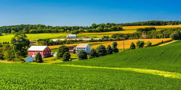 Farmland in rural York County, Pennsylvania.

Jon Bilous / Shutterstock.com