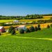 Farmland in rural York County, Pennsylvania.

Jon Bilous / Shutterstock.com