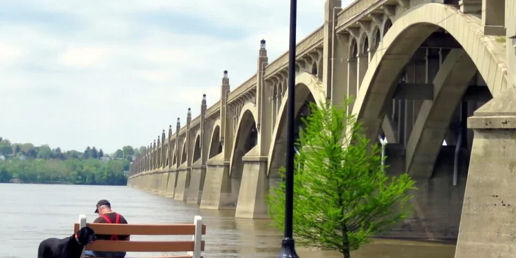 A senior citizen rests with his dog near a bridge in Columbia, Pennsylvania.

Paul Comstock / Shutterstock.com
Facebook
Twitter
Email
PrintCopy article link
Save