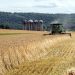 A farmer uses a combine harvester to harvest the grain crop June 14, 2020, in rural Berks County, Pennsylvania.

Amy Lutz / Shutterstock.com