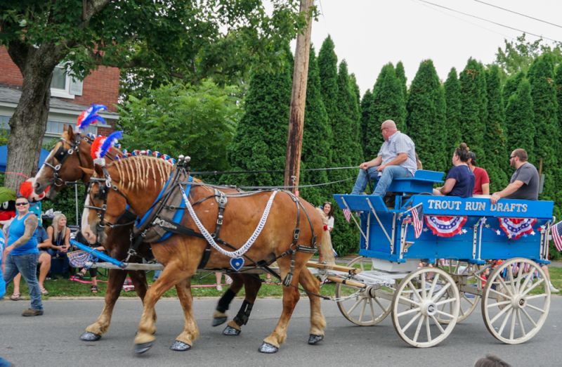 SLIDESHOW Clearfield County Fair Parade