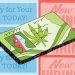 Vague legal protections in Pennsylvania's medical marijuana law force some workers to choose between their job and a doctor-approved drug.

Leise Hook / For Spotlight PA