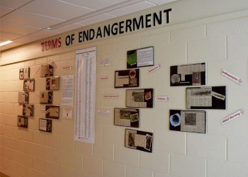 Terms of endangerment wall featuring Pennsylvania’s endangered species articles written by students for community education.

Credit: Penn State