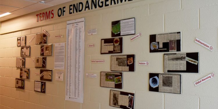 Terms of endangerment wall featuring Pennsylvania’s endangered species articles written by students for community education.

Credit: Penn State