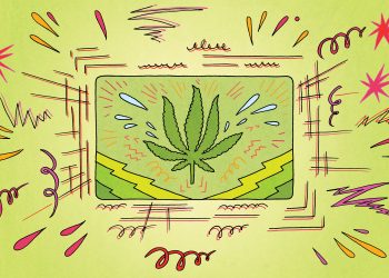 An unprecedented analysis of 1 million medical marijuana certifications reveals how anxiety disorders came to dominate Pennsylvania’s billion-dollar cannabis business.

Leise Hook / For Spotlight PA