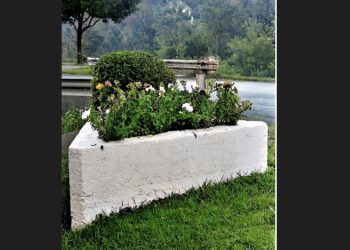 Winburne Watering Trough - Photo is from 1976 with red, white and blue flowers blooming.