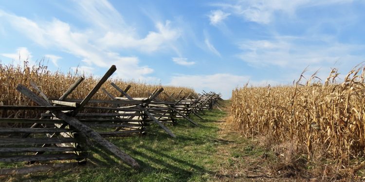 A zigzag rail fence at Gettysburg National Military Park in Pennsylvania.