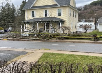 Strong wind gusts downed a large tree in front of the Greater Clearfield Chamber of Commerce Office on  Saturday (Submitted Photo).